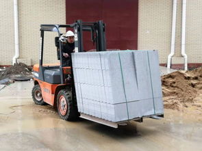 圖 東西湖荷包湖叉車出租 全方位貨物裝卸、工廠搬遷與設備拆裝服務